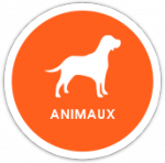 univers animaux