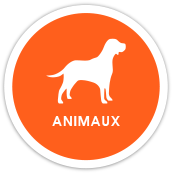 univers animaux