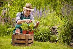 jardinier-jardin-engrais-comptoir-nature