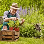 Jardinier - Comptoir Nature