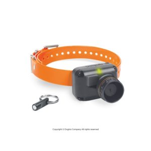 beeper stb-hawk L de Dogtra