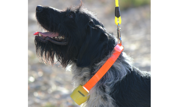 Cloche ALP Canihunt pour chien de chasse