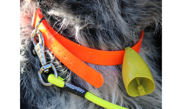 Cloche ALP Canihunt pour chien de chasse