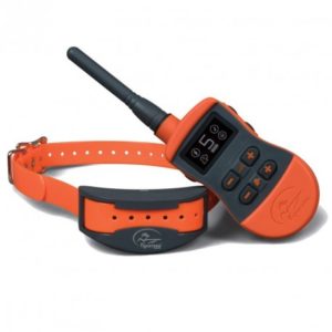 Collier de dressage SD 1275 Sportdog