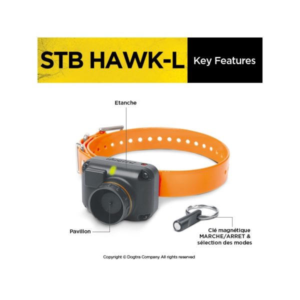 beeper dogtra stb hawk L chien d'arrêt