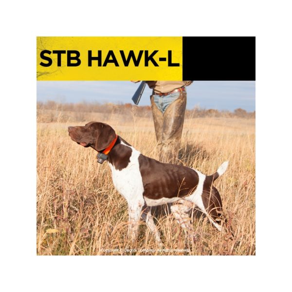 beeper dogtra stb hawk L chien d'arrêt