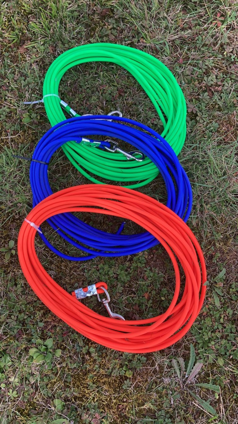 Llantas Braid 12 Zoll NEWMARKET WEBKUPPLUNG KUPPLUNG Blei Lunge Zügel Gurtband Ring Of Red