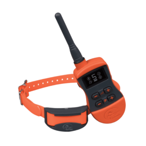 SD-875 : collier de dressage pour chien (SportDog) - Comptoir Nature