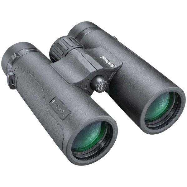 Jumelles Bushnell Engage X 10x42